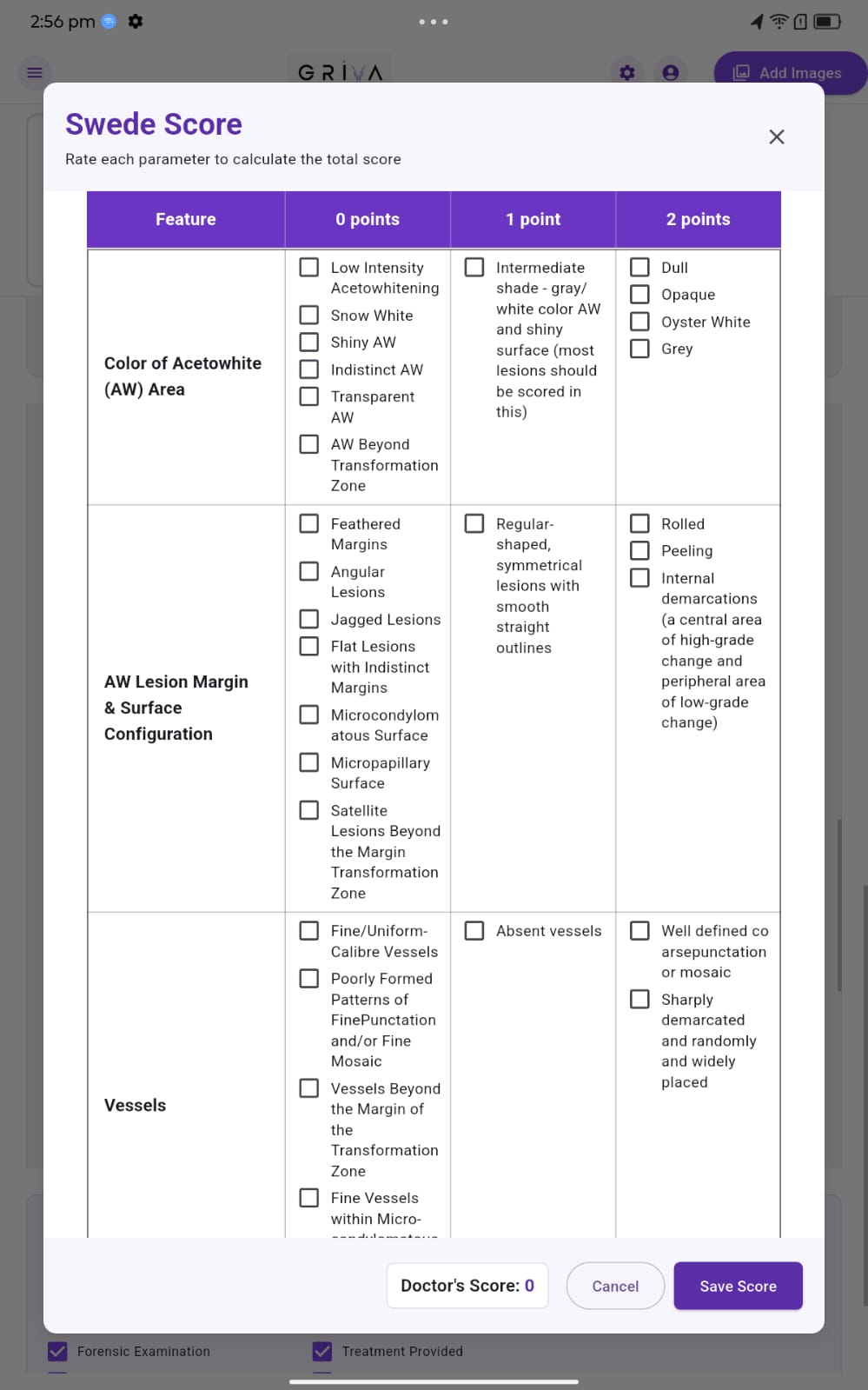 Screenshot of the built-in Swede Score feature on the GrivaVision Colposcope application.